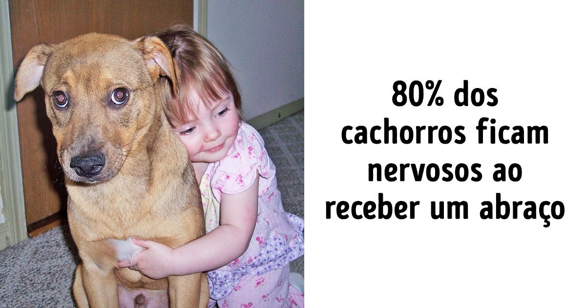 10 Coisas que os cachorros não gostam, mas continuamos fazendo