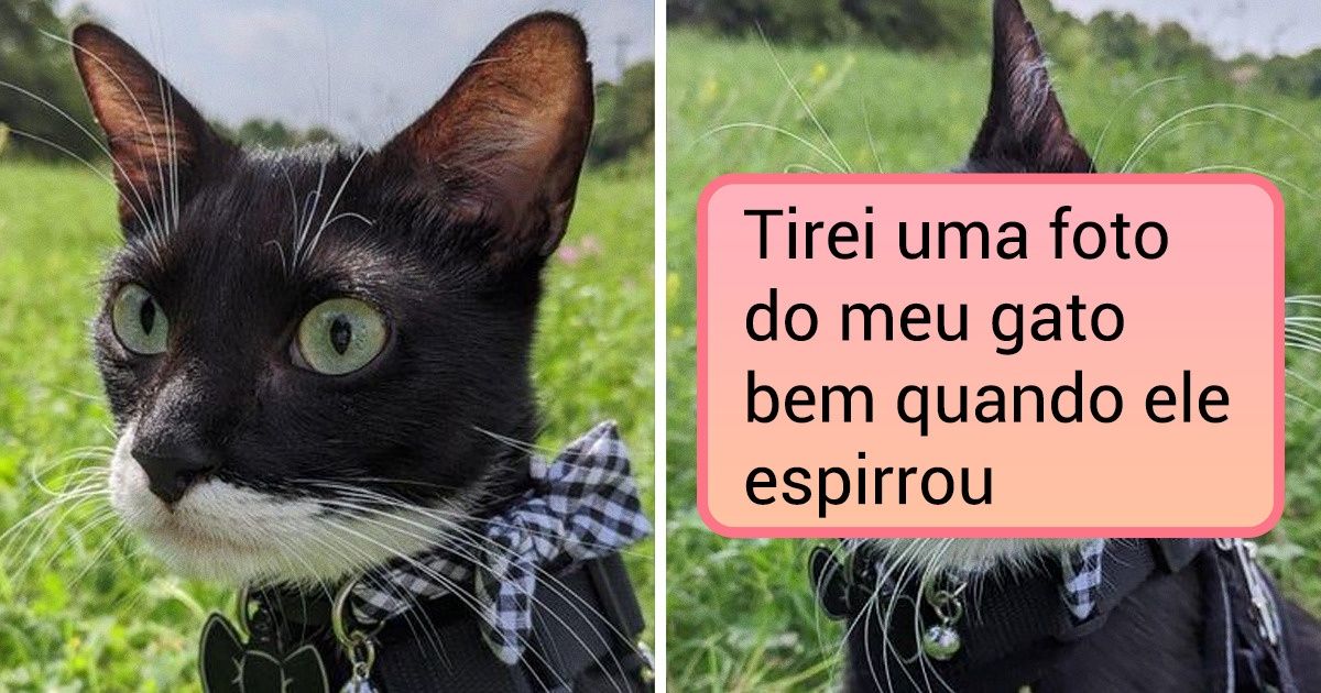 17 Fotos espontâneas que saíram melhor do que o esperado