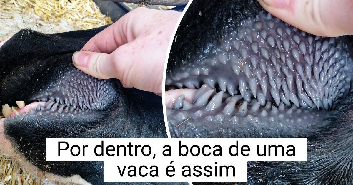 15 Obras-primas feitas pela natureza que exigem um beliscão para saber se são realidade