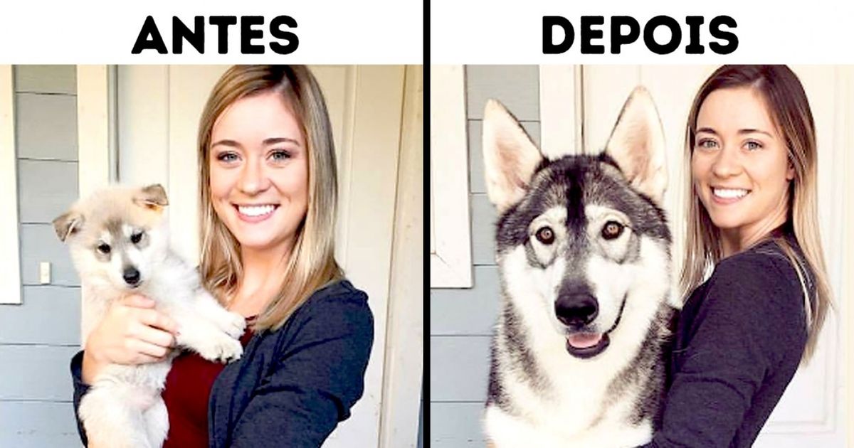 25 Fotos mostram o quanto tudo ao nosso redor muda