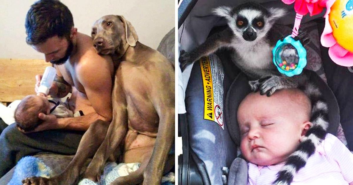 10+ Fotos que mostram como nem todo mundo está preparado para criar um filho