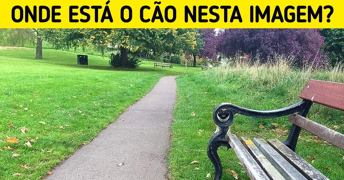 19 Imagens que escondem verdadeiros mestres da camuflagem acidental