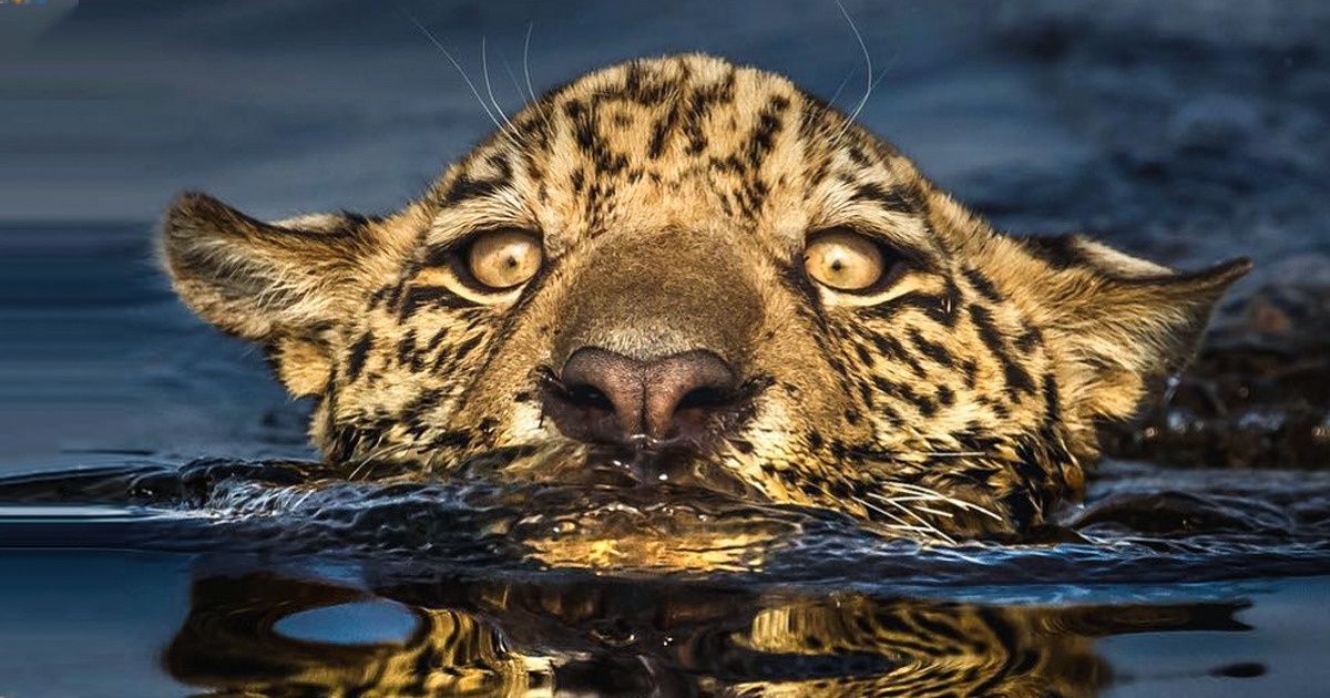 Fotógrafo brasileiro capta toda a essência do nosso povo e natureza, e te trazemos 20+ de suas melhores imagens