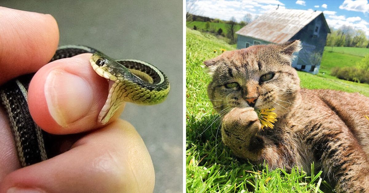 Está de mau humor? Então esqueça de tudo e veja 20 fotos super fofas Está de mau humor? Então esqueça de tudo e veja 20 fotos super fofas