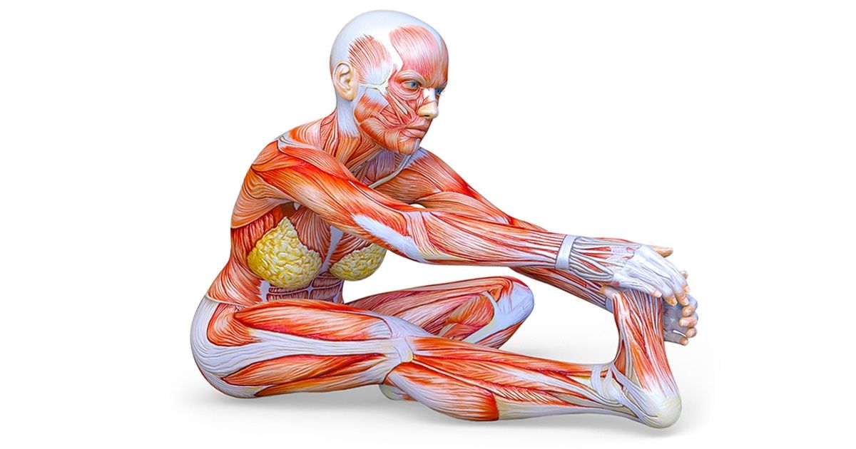 10 Exercícios de alongamento para conseguir uma super flexibilidade em um mês 10 Exercícios de alongamento para conseguir uma super flexibilidade em um mês