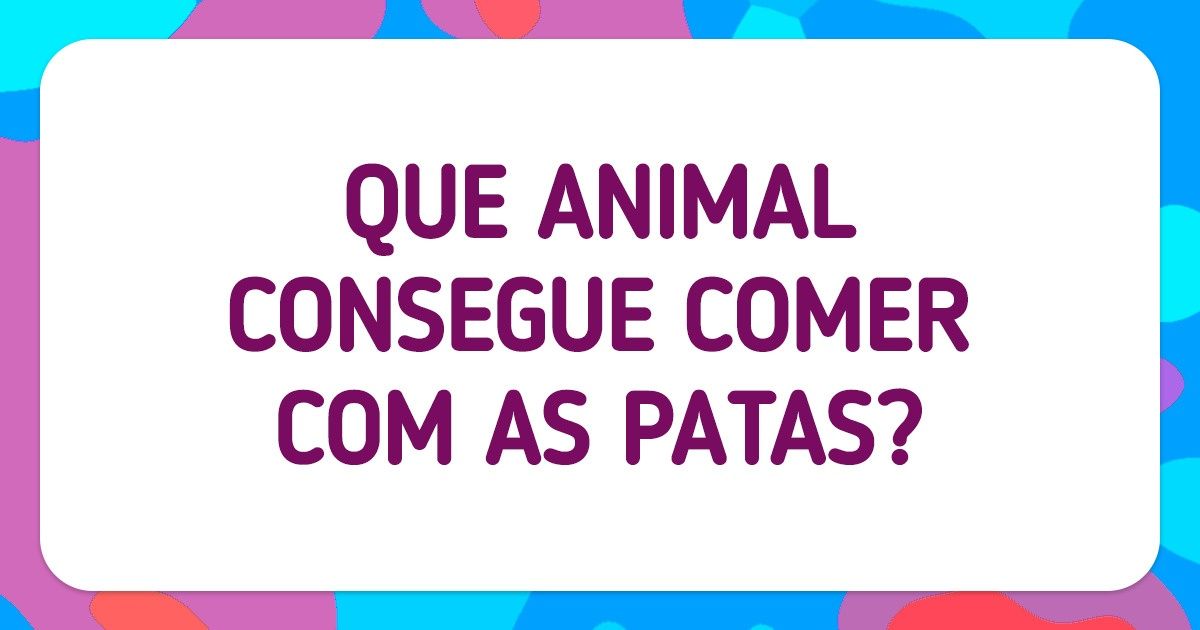 Teste: Resolva estas 14 charadas para mostrar se é um grande adivinhador Teste: Resolva estas 14 charadas para mostrar se é um grande adivinhador