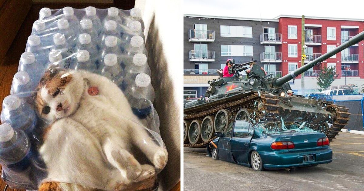 15 Provas de que nunca podemos prever o que acontece no dia a dia