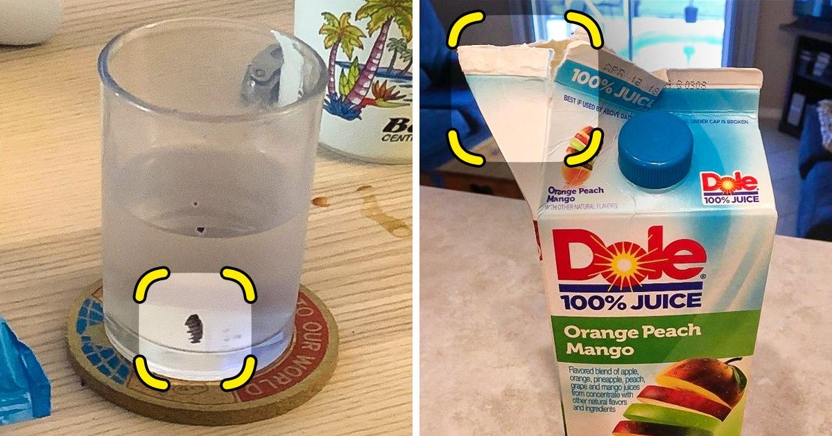 20+ Pessoas que deixam seus familiares malucos com suas manias estranhas