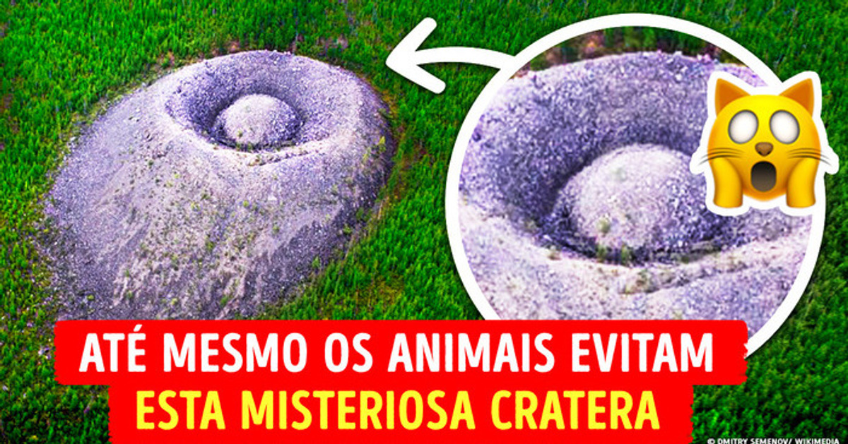 Objeto misterioso na mata, que até mesmo os animais evitam