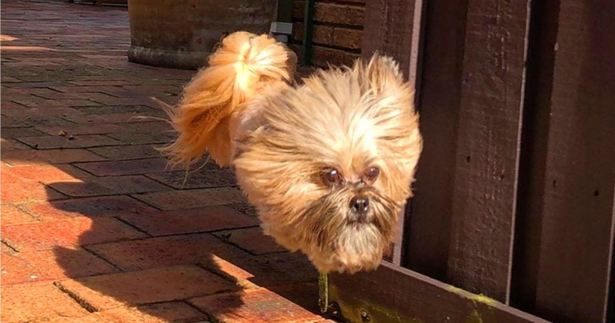 29 Fotos fascinantes feitas no momento exato