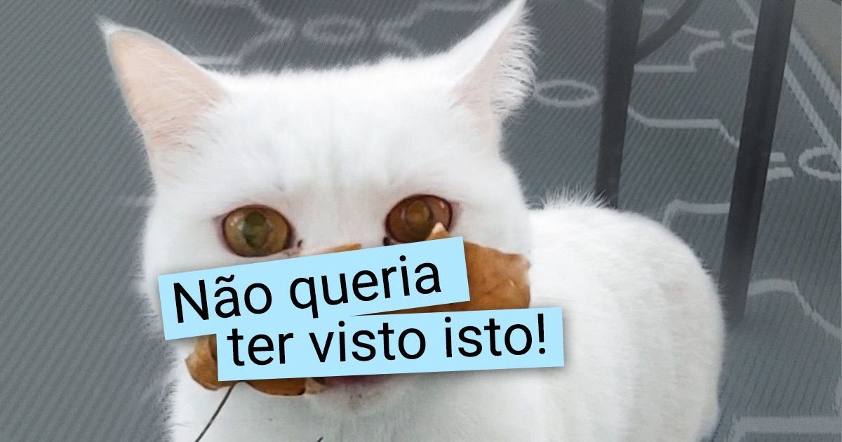 18 Gatinhos tão aterrorizantes que poderiam estrelar seu próprio filme de terror
