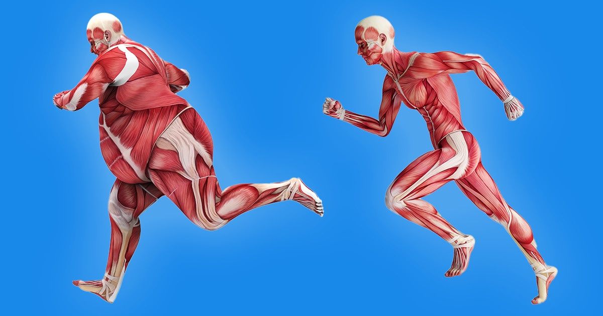As partes do corpo que ficam em forma dependendo do tipo de esporte realizado