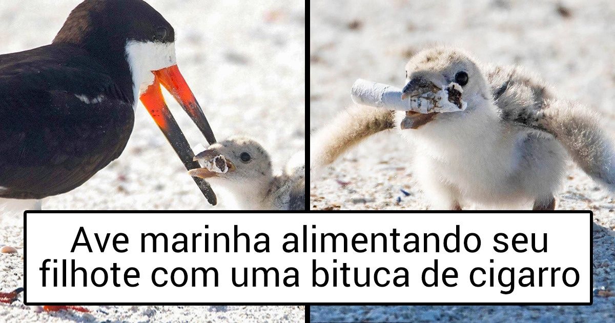 18 Fotos que são mais desanimadoras que um banho gelado