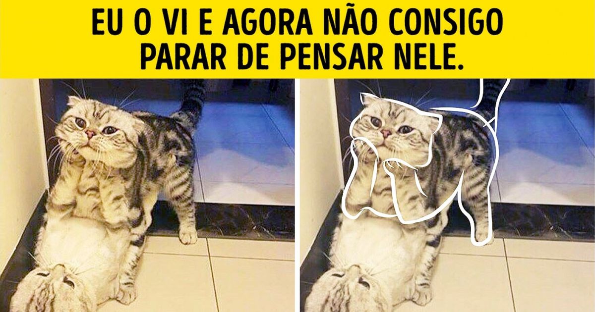 Fotos que criam ilusões de ótica super diferentes Fotos que criam ilusões de ótica super diferentes