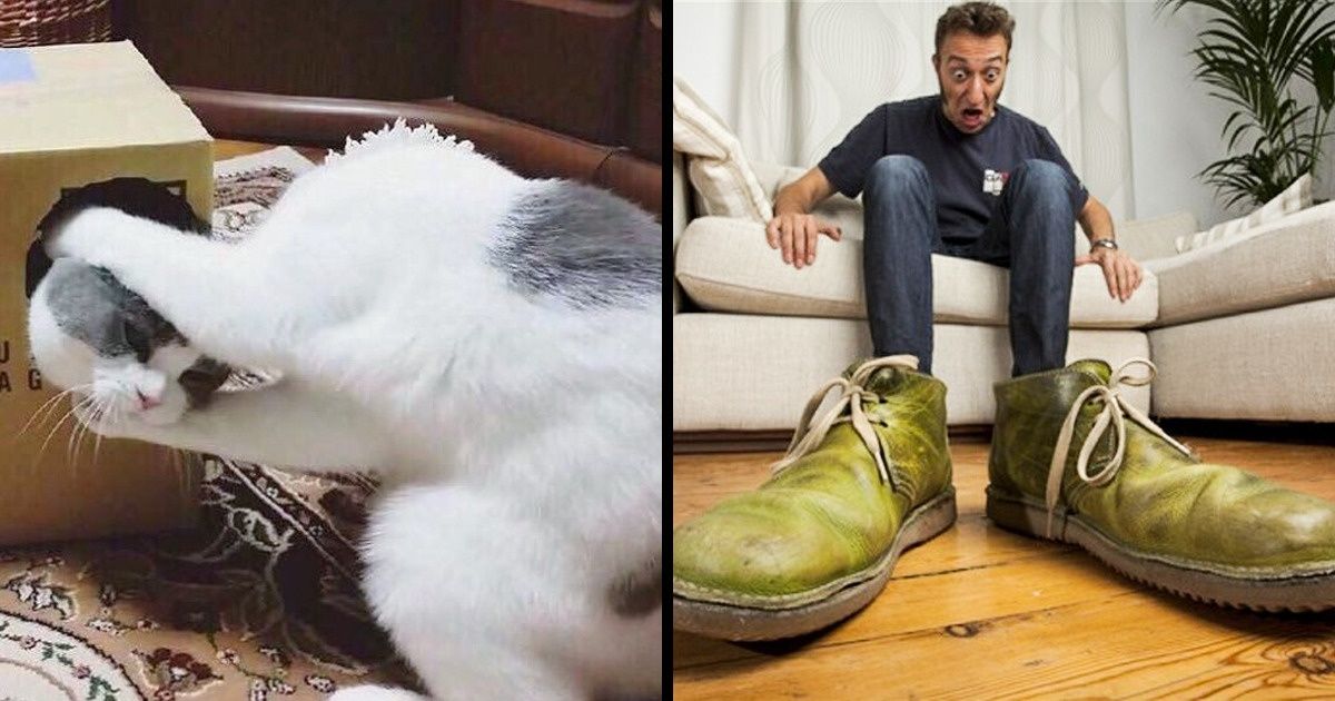 18 Imagens sem edição para brincar com sua percepção das coisas