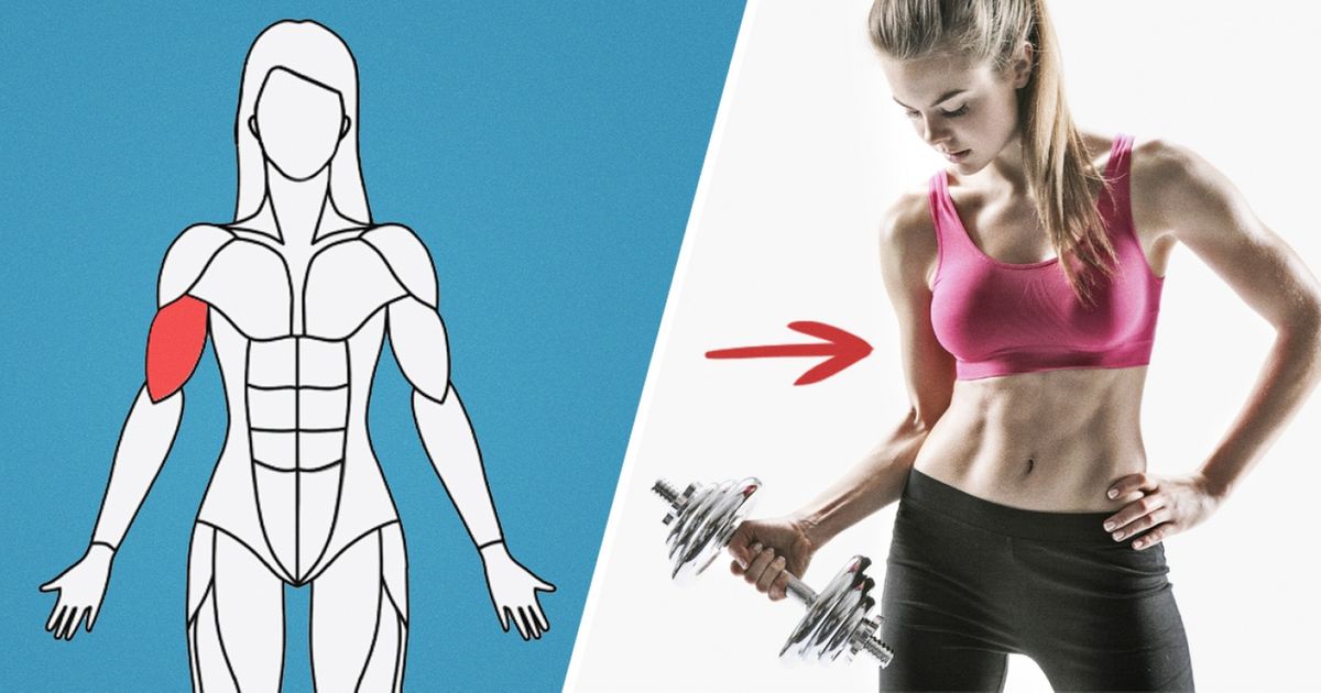 Site traz exercícios específicos para cada grupo muscular
