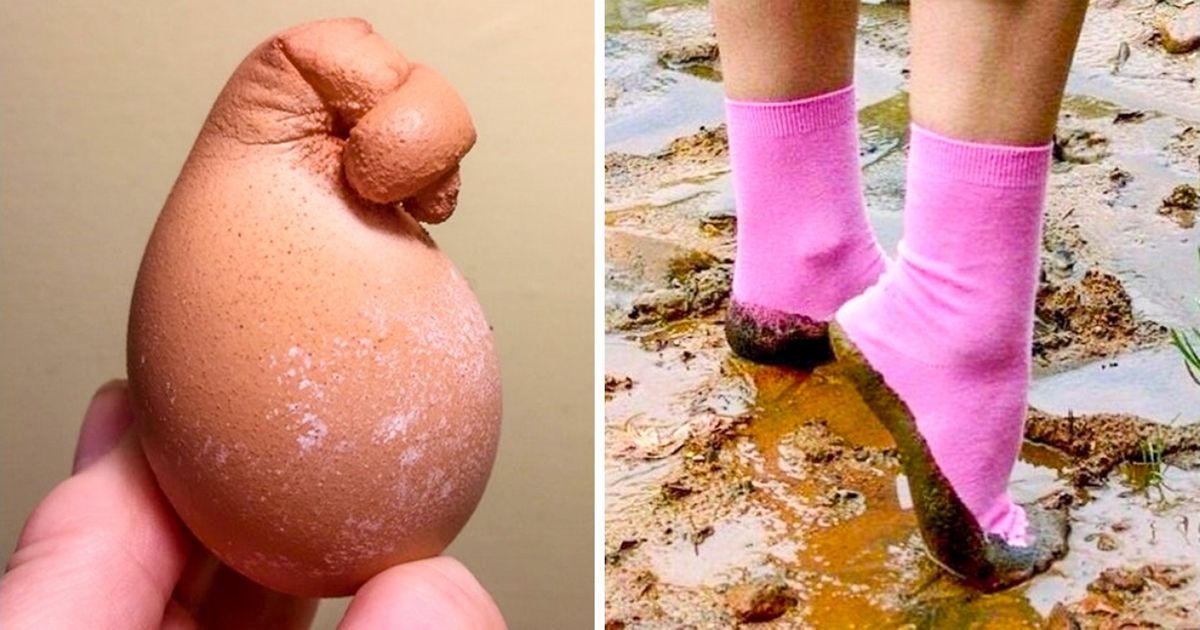 24 Fotos capazes de matar qualquer perfeccionista