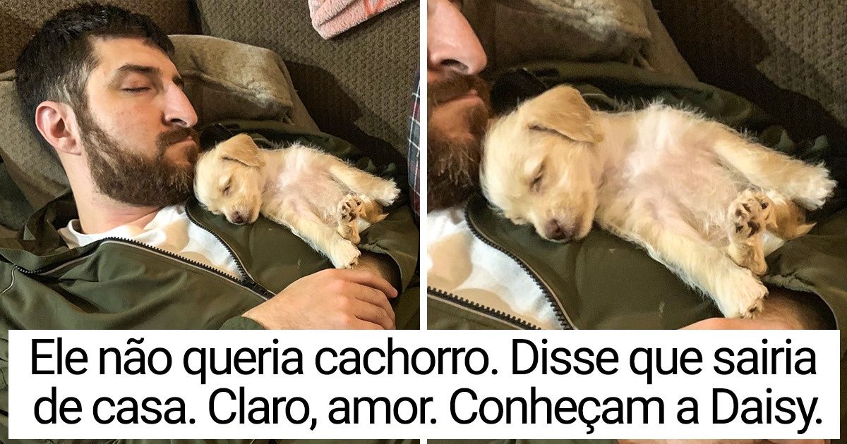 20 Fotos que mostram como é possível encontrar o amor das maneiras mais inesperadas 20 Fotos que mostram como é possível encontrar o amor das maneiras mais inesperadas