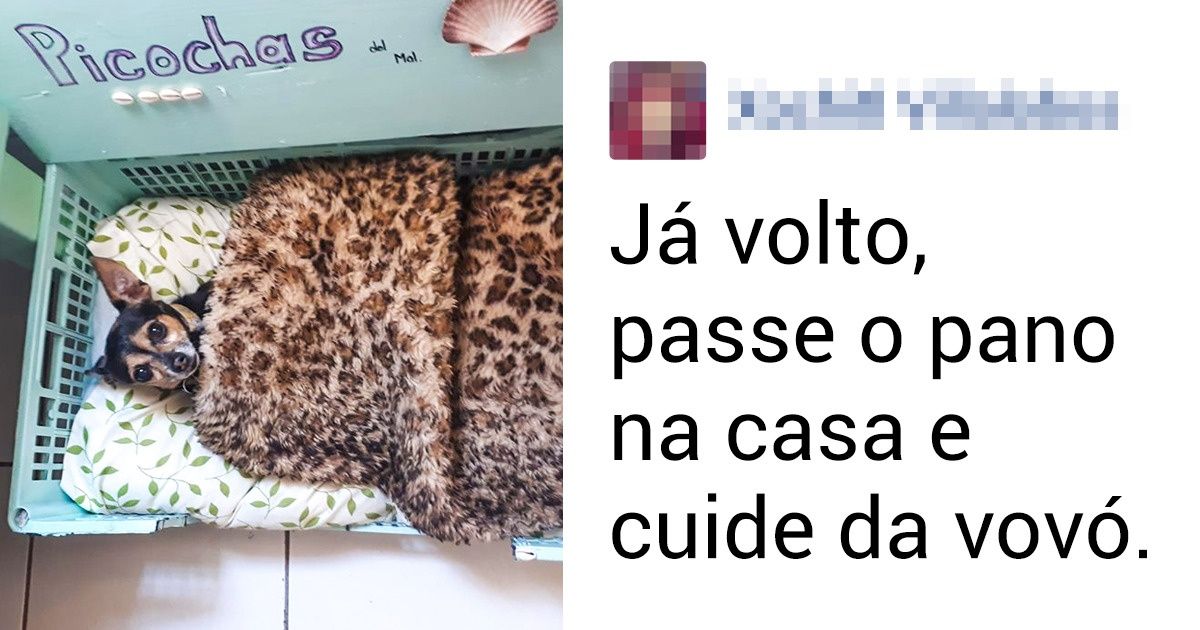 20 Seguidores do Incrível contaram como se despedem de seus animais de estimação quando vão trabalhar 20 Seguidores do Incrível contaram como se despedem de seus animais de estimação quando vão trabalhar