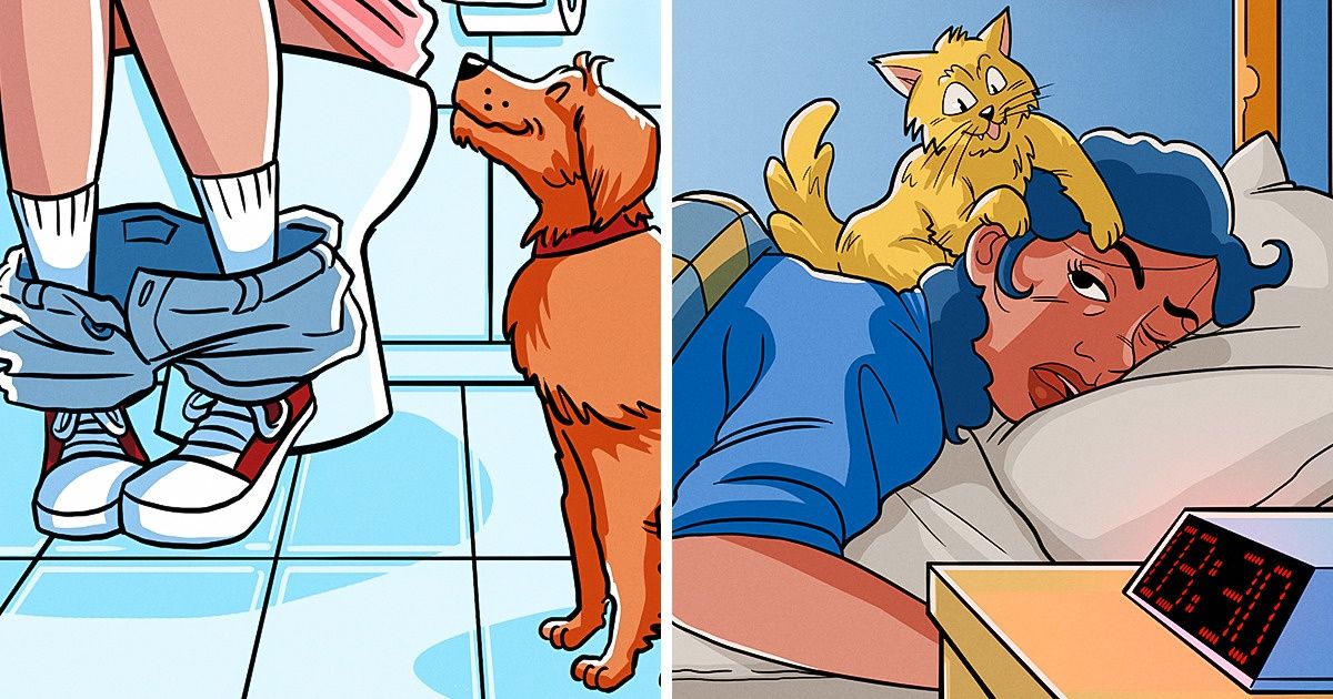 15 Situações que donos de animais de estimação conhecem muito bem