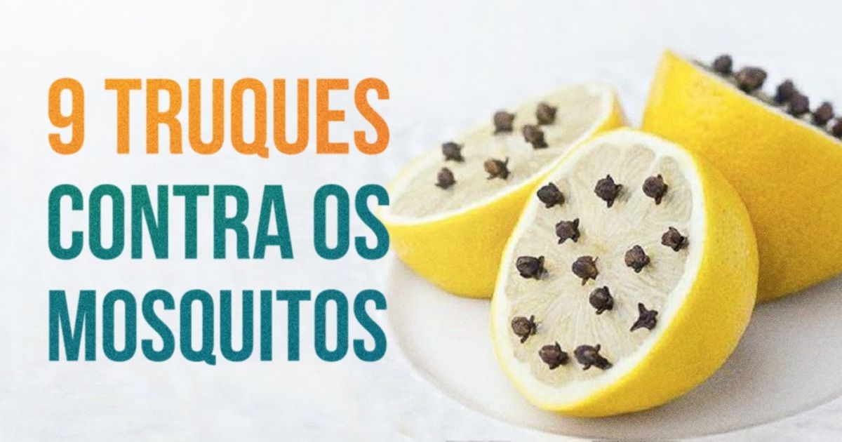 9 formas de combater o incômodo dos mosquitos