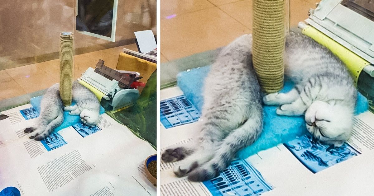 15 Fotos que farão você querer parar e observá-las novamente