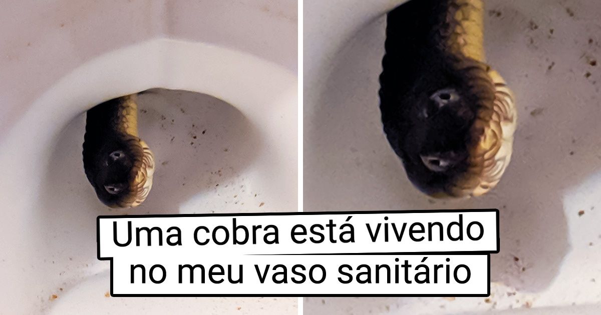 19 Fotos que farão você ver o mundo de um ângulo totalmente novo 19 Fotos que farão você ver o mundo de um ângulo totalmente novo