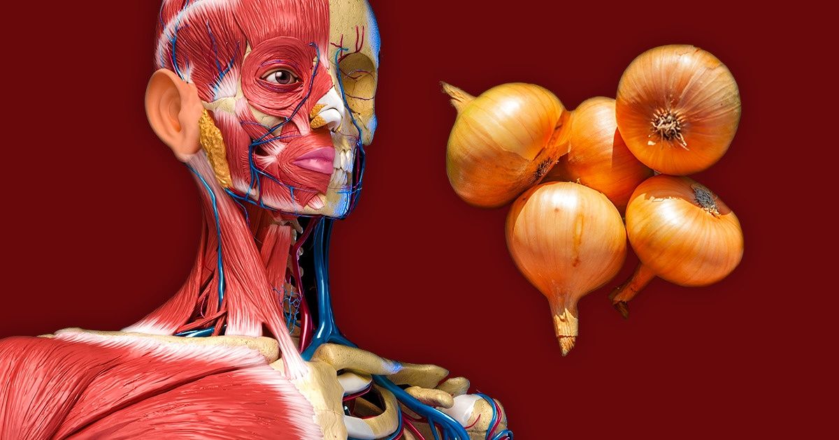 7 Mudanças que podem acontecer com o seu corpo se você começar a comer cebola com mais frequência