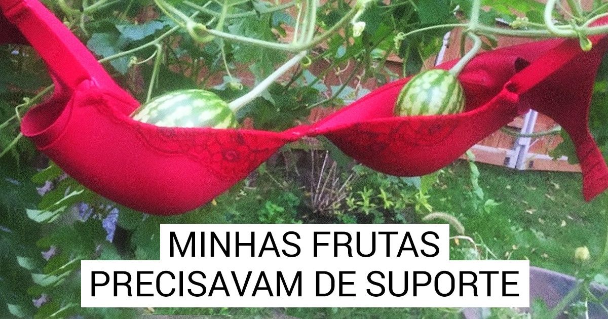 20 Pessoas que resolveram seus problemas de um jeito brilhante, pensando fora da caixa