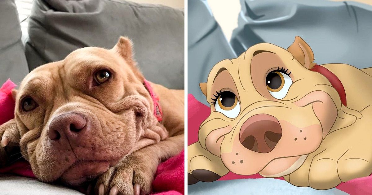 Uma artista transforma pets reais em personagens da Disney e seu amigo peludo também pode se tornar um Uma artista transforma pets reais em personagens da Disney e seu amigo peludo também pode se tornar um