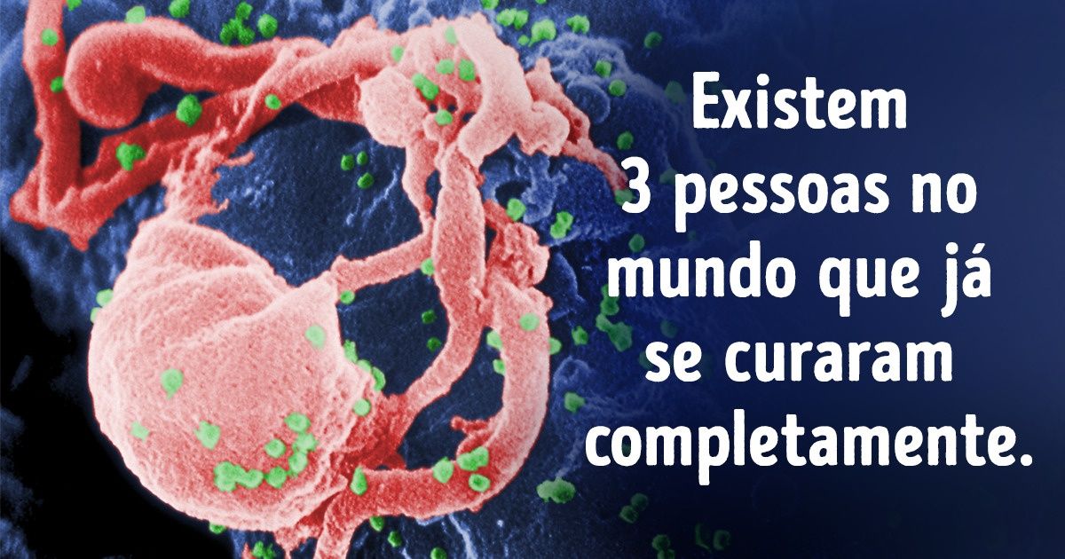 9 Mitos sem fundamento sobre o HIV, o vírus causador da AIDS 9 Mitos sem fundamento sobre o HIV, o vírus causador da AIDS
