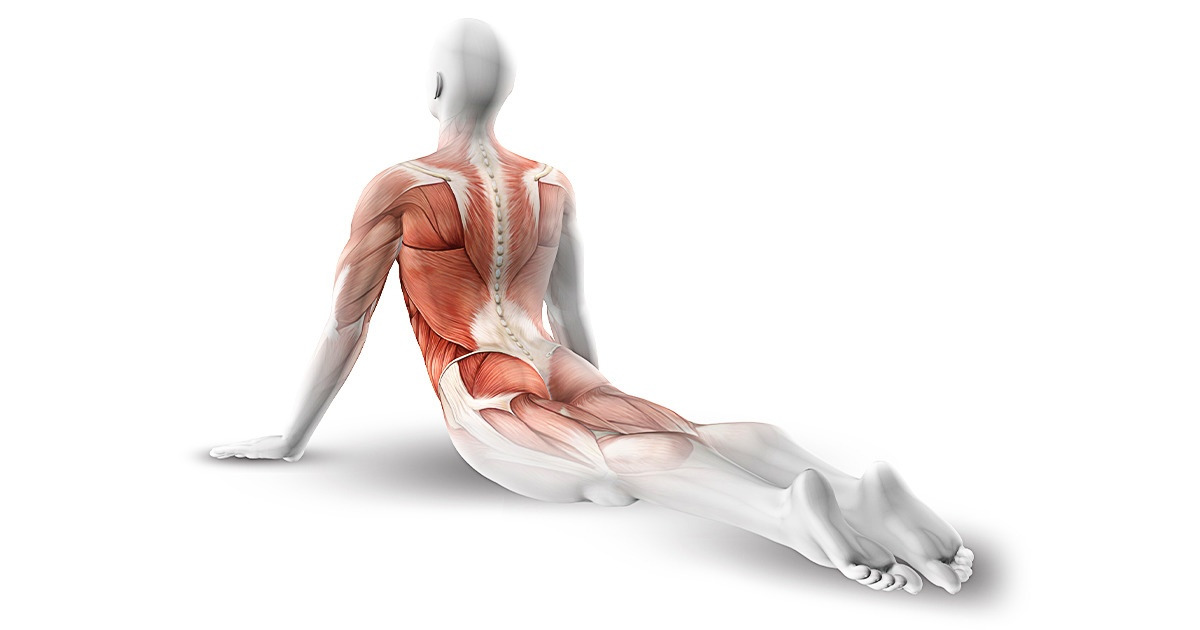 10 Exercícios fáceis para acabar com a dor nas costas e ao mesmo tempo tonificar o abdômen