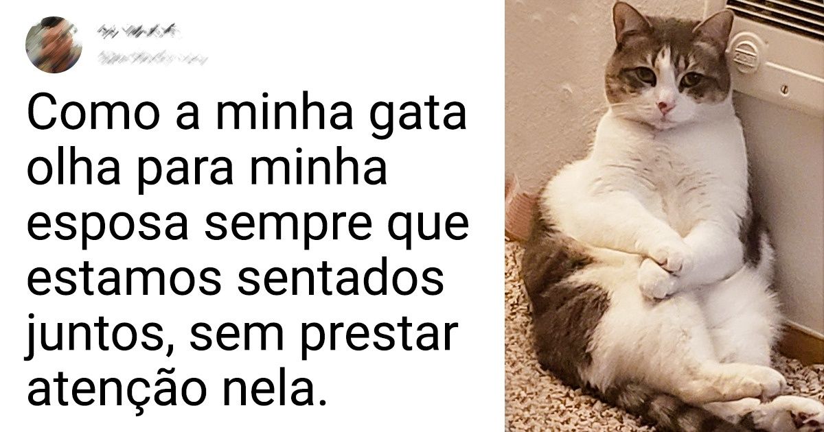 16 Usuários do Reddit que sempre têm uma foto sensacional para postar, graças aos seus preciosos animais de estimação 16 Usuários do Reddit que sempre têm uma foto sensacional para postar, graças aos seus preciosos animais de estimação