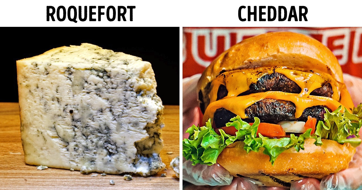 13 Queijos que estão entre os mais consumidos e saborosos do mundo 13 Queijos que estão entre os mais consumidos e saborosos do mundo