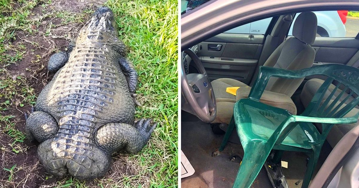 15+ Imagens que vão brincar com a sua mente de uma maneira incrível