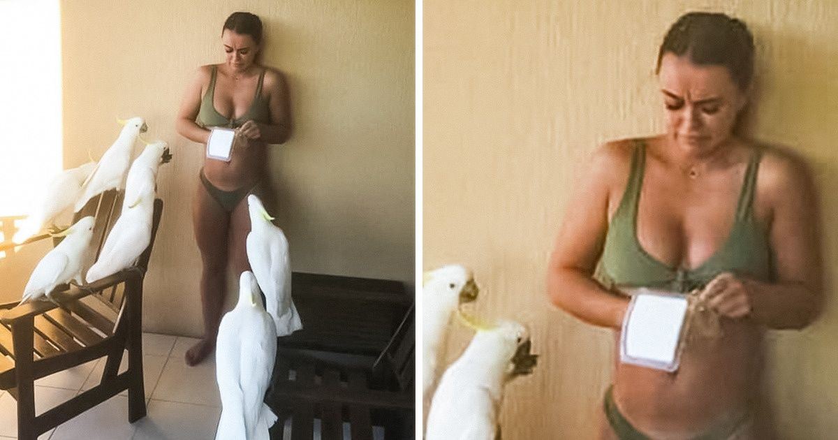 16 Mulheres que se viram em uma situação complicada
