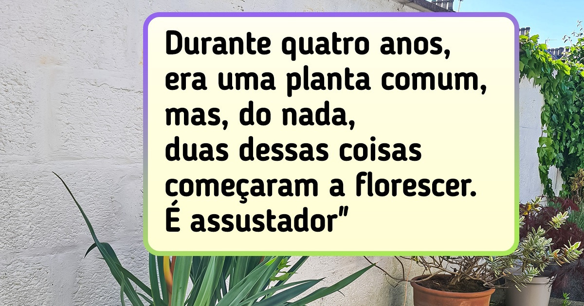 17 Plantas que parecem ter saído de outro planeta