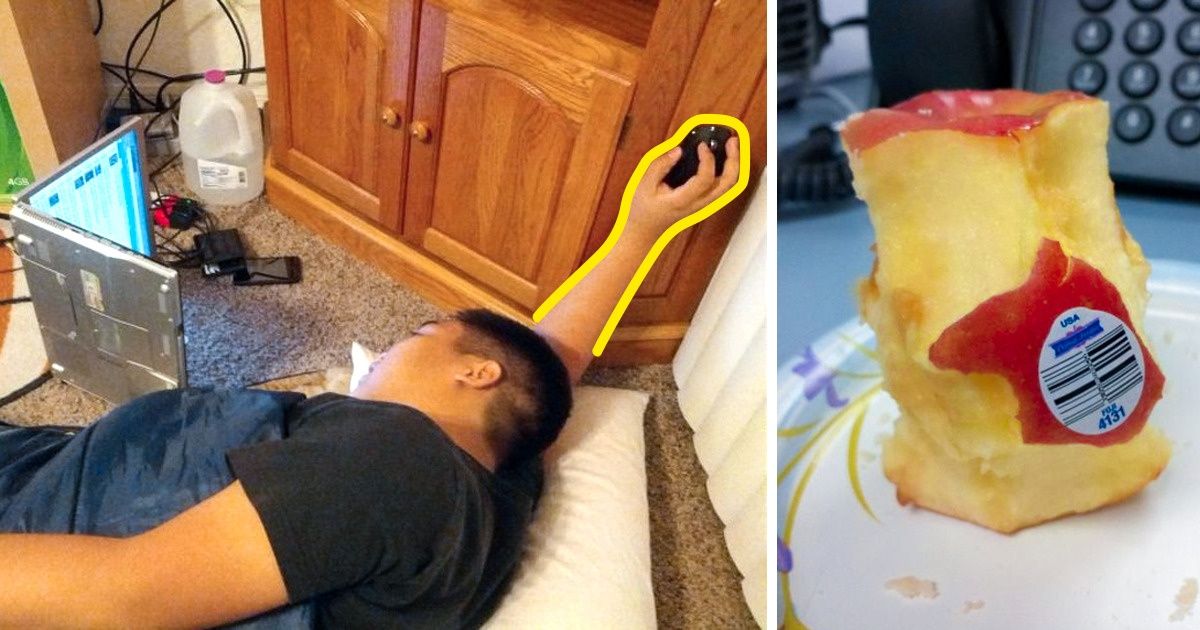 20+ Pessoas que fazem da preguiça uma verdadeira arte