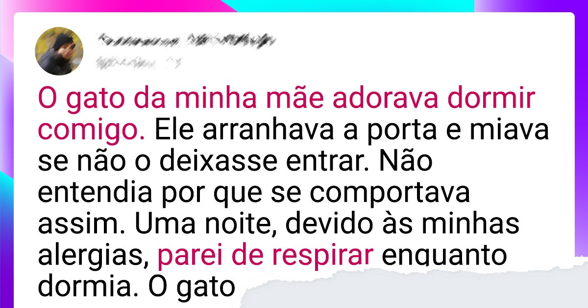 18 Histórias de animais que demonstram entender mais de amor do que qualquer pessoa