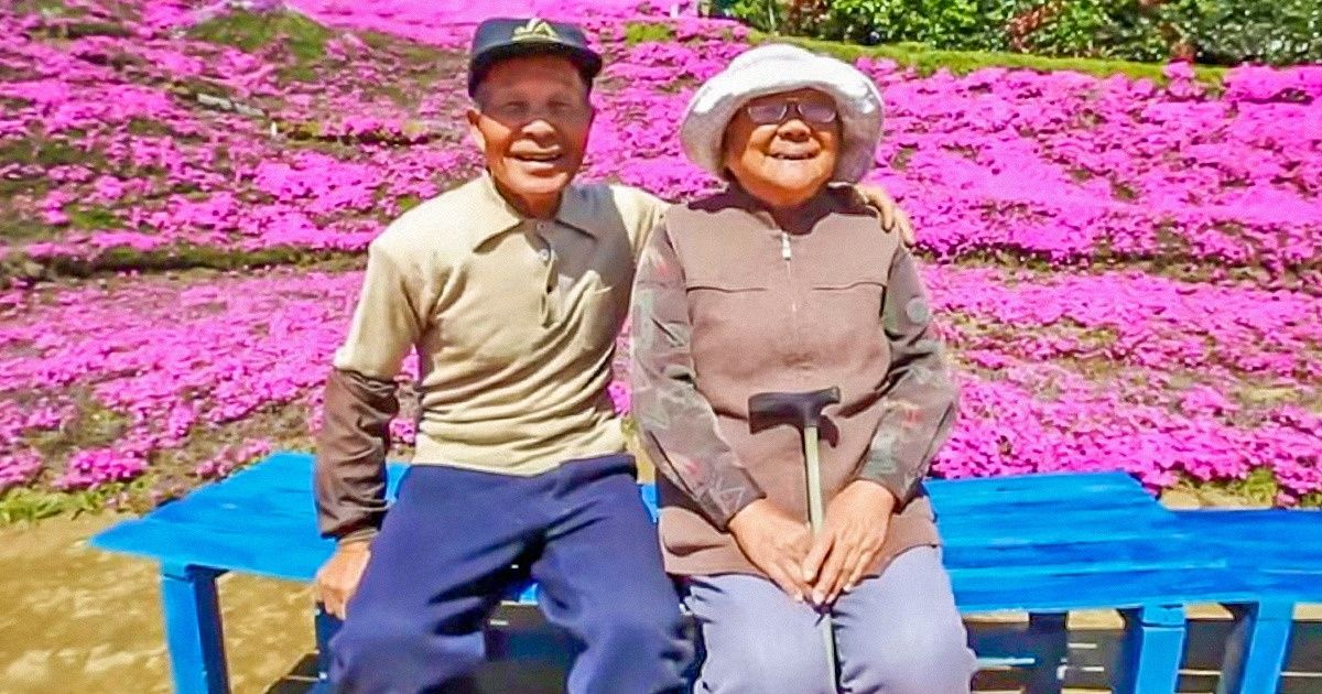 Um Japon S Plantou Milhares De Flores Para Alegrar Sua Esposa Ap S Ela