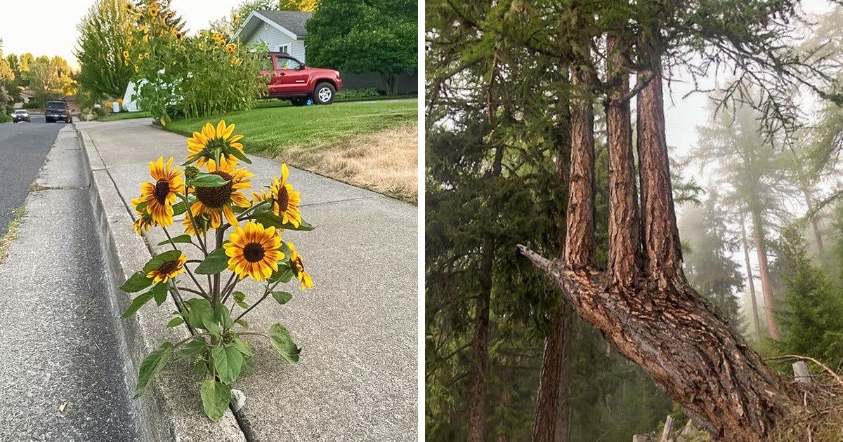 19 Vezes em que a Mãe Natureza mostrou todo o seu poder