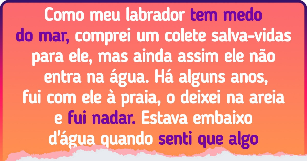 21 Provas de como os animais de estimação são nossos verdadeiros anjos da guarda