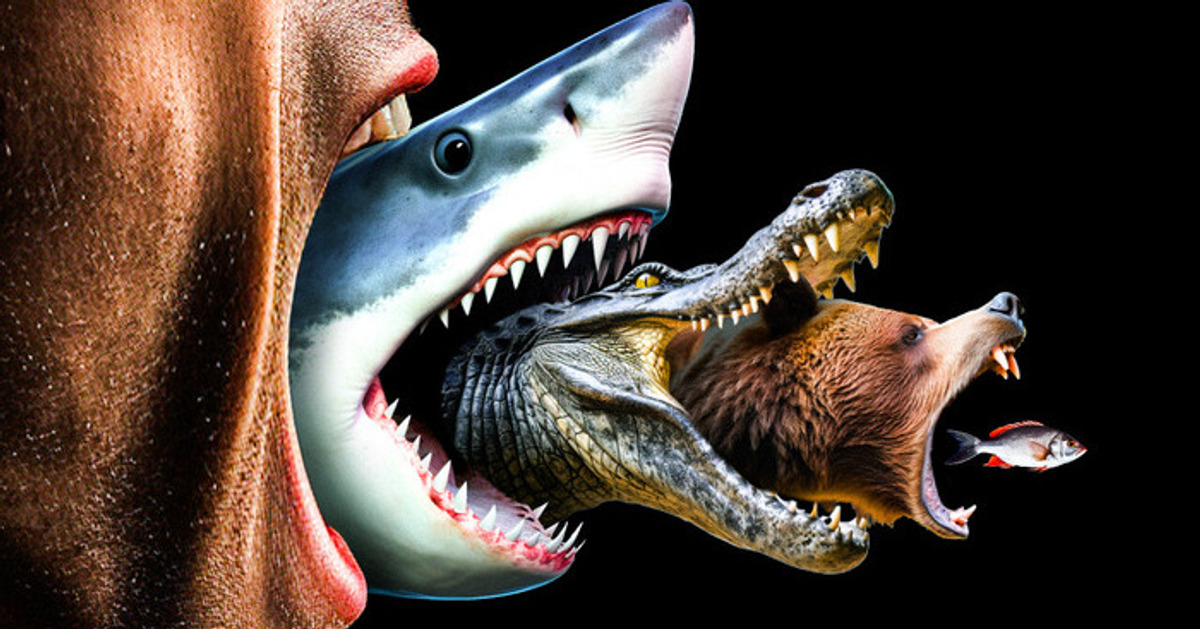 Não estamos no topo da cadeia alimentar, e aqui está o porquê Não estamos no topo da cadeia alimentar, e aqui está o porquê