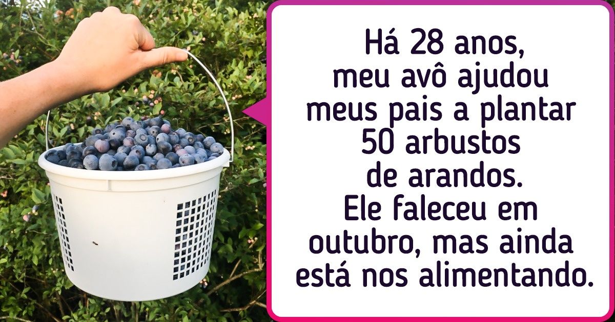 15 Internautas que moram no campo compartilharam a experiência de viver pertinho da natureza 15 Internautas que moram no campo compartilharam a experiência de viver pertinho da natureza