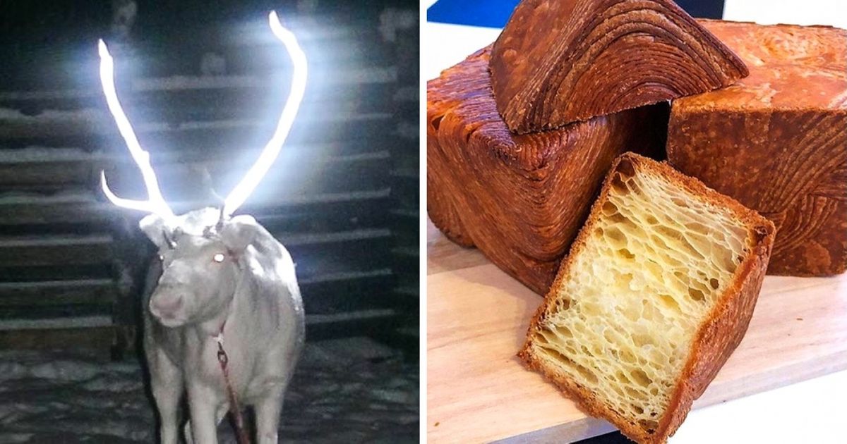 17 Fotos que mostram como o mundo nos surpreende