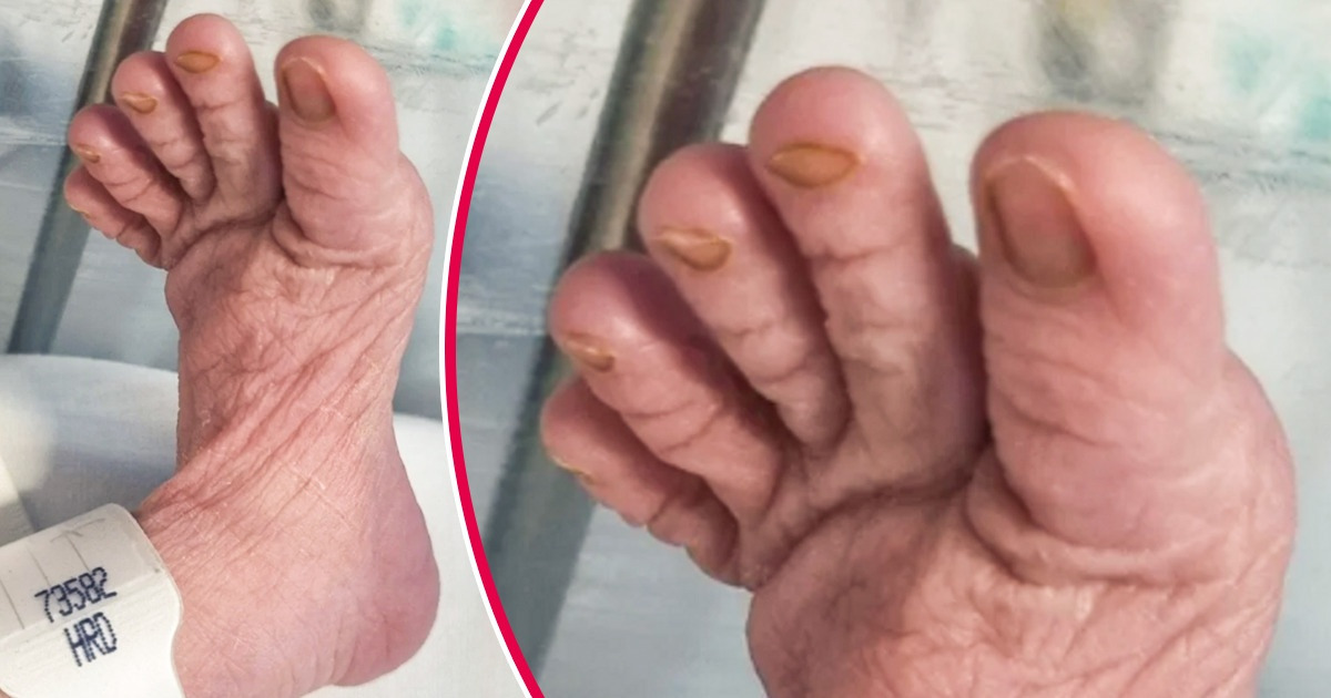 20 Imagens reais que ninguém teria acreditado se não fosse pela foto