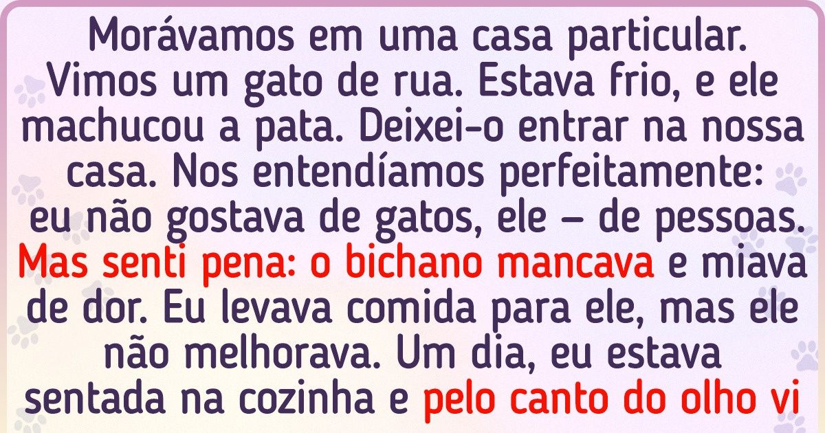 17 Provas de que os gatos são muito mais inteligentes do que pensamos