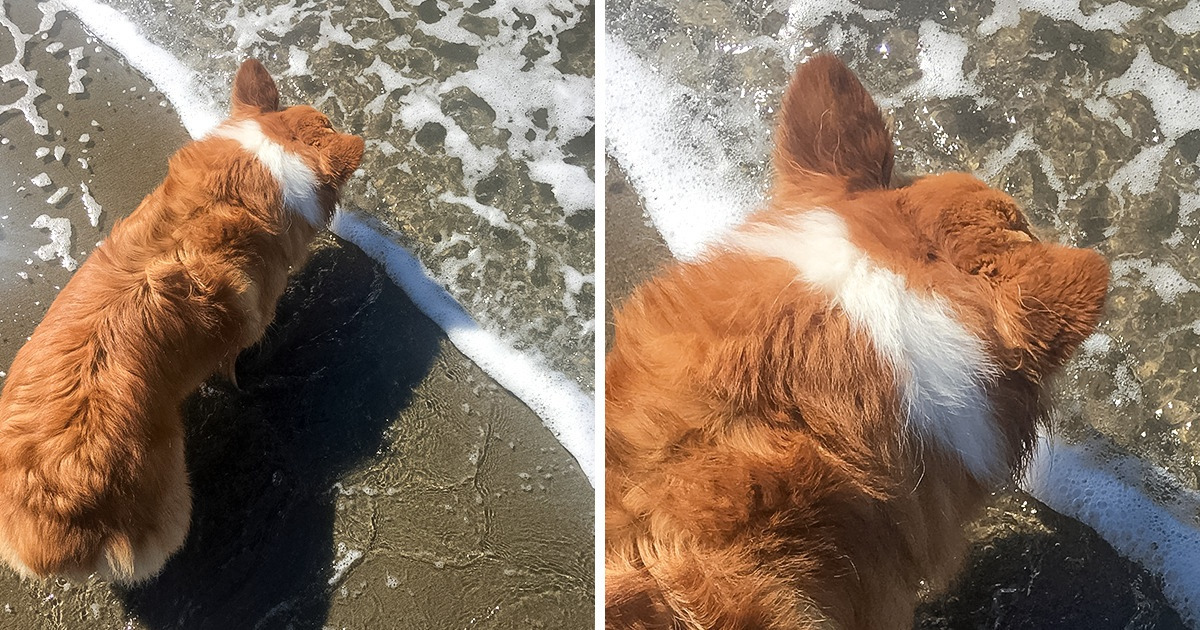 19 Coincidências que podem ser chamadas de “uma chance em um milhão”