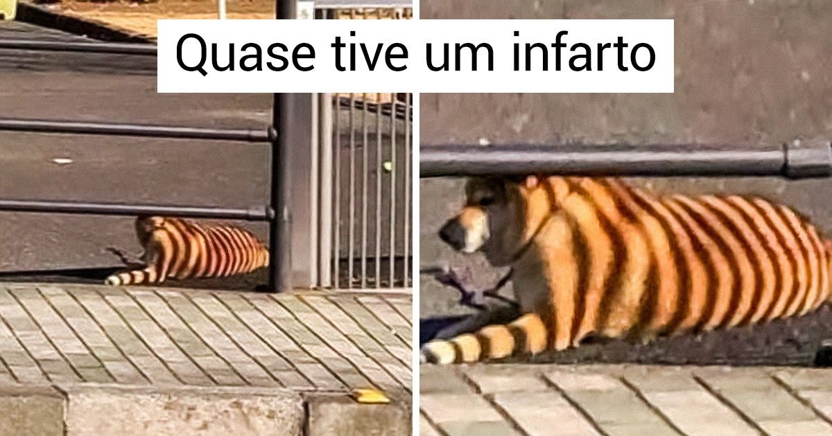 20 Pessoas ’sortudas’ nas quais a vida pregou verdadeiras peças 20 Pessoas ’sortudas’ nas quais a vida pregou verdadeiras peças