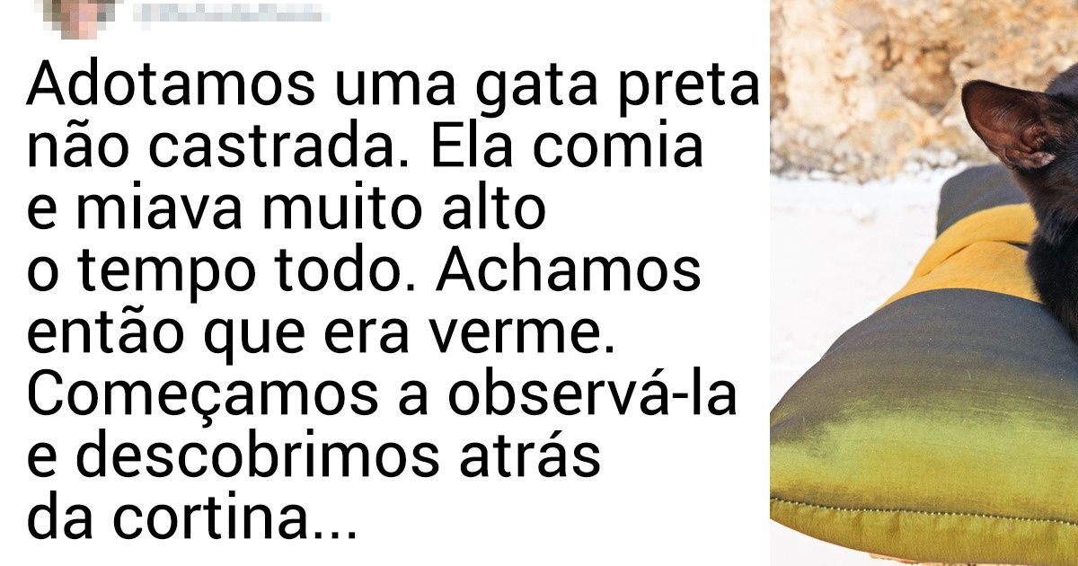 16 Pessoas que não planejavam ter um gato, mas acabaram sendo adotadas por eles 16 Pessoas que não planejavam ter um gato, mas acabaram sendo adotadas por eles